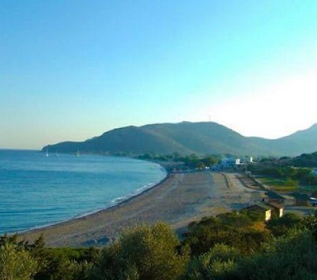 Deniz Apart Hotel Palamutbuku Bagian luar foto